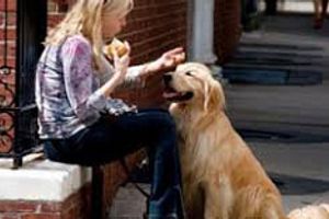 Профілактика ехінококозу та альвеококозу у собак
