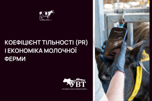 Цифри, які приносять прибуток: чому PR важливий для економіки молочної ферми