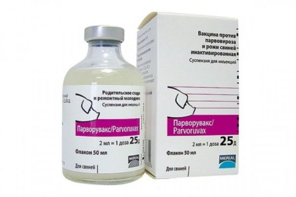 Вакцина Парворувакс 25доз 50мл (парвовірус,бешиха свиней)