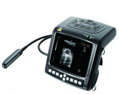 Цифровий ультразвуковий сканер КХ 5200 Vet з ректальним лінійним датчиком