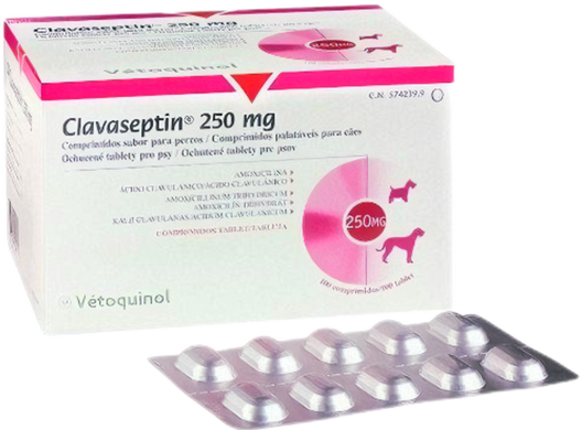 Клавасептин 250 мг таб. №10